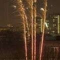 silvester2010  72320528