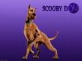 Scooby Doo and Schaggy 68138603