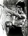 Bruce Lee 68171099