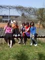 meine Friends 66982907