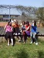 meine Friends 66982908