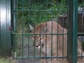 Tierpark Haag  68153160