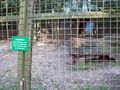 Tierpark Haag  68153317