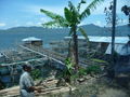 Abenteuer Urlaub in Indonesien !!! 70156890