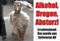 afoch olles.... blödsinn..geiles... 4288466