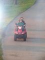 Quad fahren 73281669