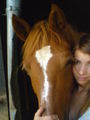 horses & me 67207446