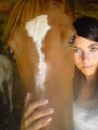 horses & me 67207452