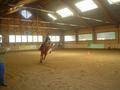 Westernstable Lindlmayr (Tunier) 30.4.05 1422480