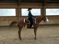 Westernstable Lindlmayr (Tunier) 30.4.05 3256024