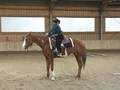 Westernstable Lindlmayr (Tunier) 30.4.05 3274453