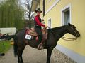 CHNW- Westernstable Lindlmayr 37712317