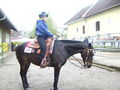 CHNW- Westernstable Lindlmayr 38855308