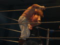 CWC Wrestling 69110076