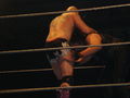 CWC Wrestling 69110373