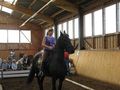 Geschicklichkeitsreiten......* 70091369