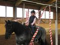 Geschicklichkeitsreiten......* 70091371