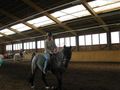 Geschicklichkeitsreiten......* 70091375