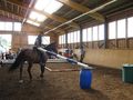 Geschicklichkeitsreiten......* 70091378