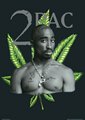 Tupac Ameru Shakur 11061180