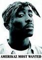 Tupac Ameru Shakur 11061196