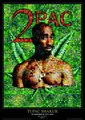 Tupac Ameru Shakur 11061216