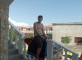 Urlaub in Kroatien 54428788