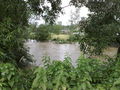 2009-06-24 Hochwasser Kotezicken 61872979