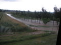 2009-06-26 Hochwasser Mischendorf 62081044