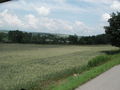 2009-06-27 Aufräumarbeiten Mischendorf 62131638