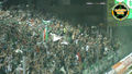 RAPID WIEN 72602072