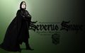 severus snape 72192336