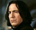 severus snape 72203634