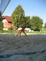 Beachvolleyball 12821484