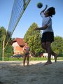 Beachvolleyball 12821487