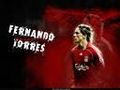 Torres 68698136