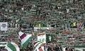 SK Rapid Wien 68975208