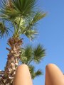 Kreta = Party, Sonne, Strand und Mee(h)r 26016965