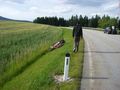 Motorrad Unfall am 10.07.08 41057130