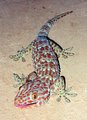 Tokeh - Gekko Gecko 16554067