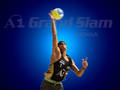 --------Beachvolleyball----------- 7709965