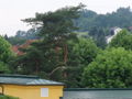 Eurotherme Bad Schallerbach (Juni 2009) 61496626