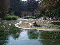 Wien Tiergarten Schönbrunn 23.9.2009 67262129