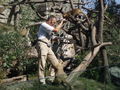 Wien Tiergarten Schönbrunn 23.9.2009 67262181