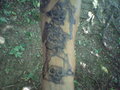 My Tatoos 20698837