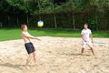 crazy volley  43435190