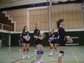 Volleyball (LANDESFINALE) 73611074