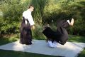 Aikido 74719334