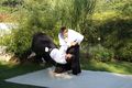 Aikido 74719341