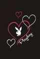 *.*.Playboy.*.* 70995262